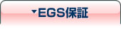 EGSۏ